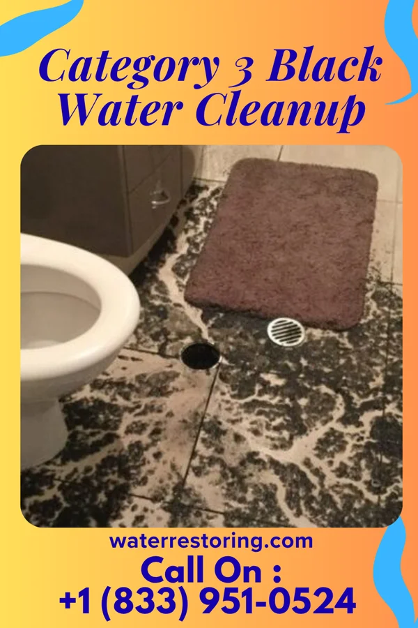 Category 3 Black Water Cleanup in Cambria, MI