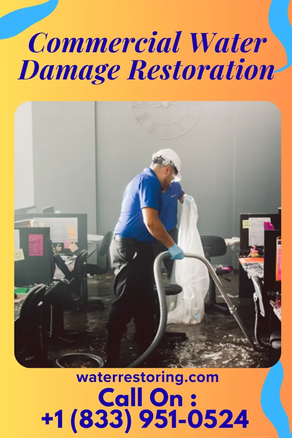 Commercial Water Damage Restoration in Cambria, MI