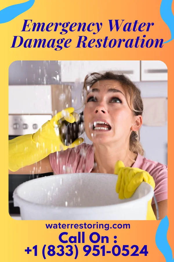 Emergency Water Damage Restoration in Cambria, MI