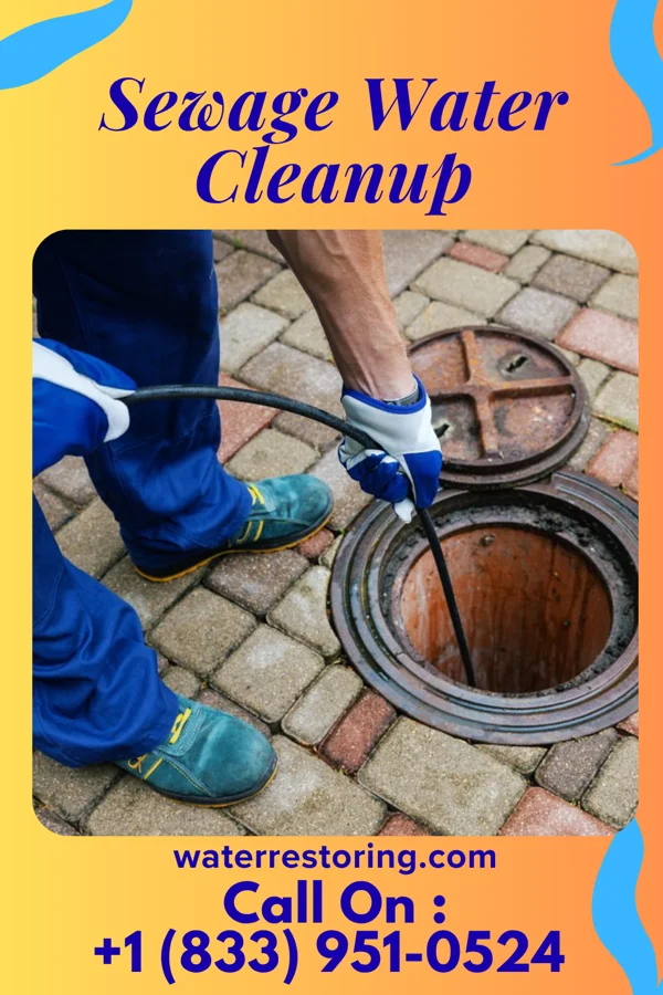 Sewage Water Cleanup in Cambria, MI